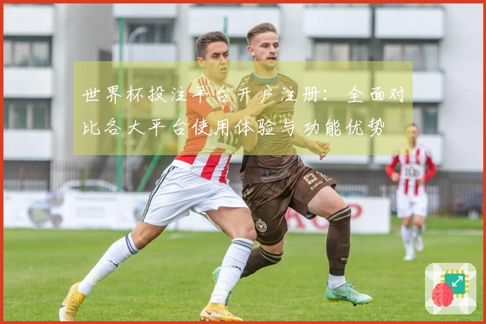 世界杯投注平台开户注册：全面对比各大平台使用体验与功能优势