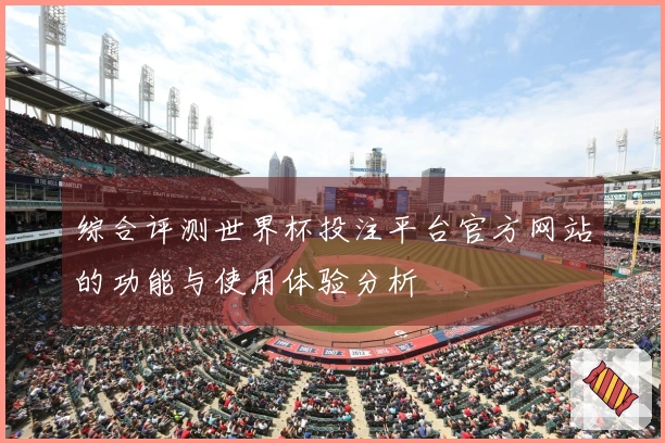 综合评测世界杯投注平台官方网站的功能与使用体验分析