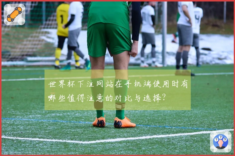 世界杯下注网站在手机端使用时有哪些值得注意的对比与选择？