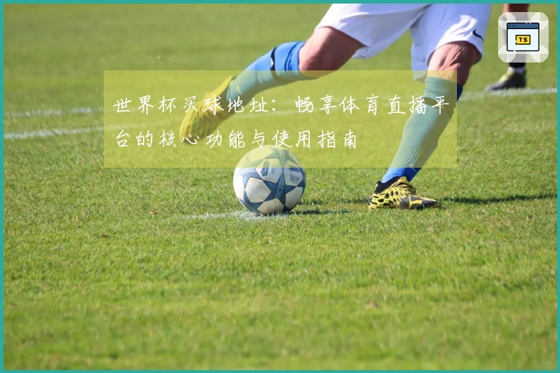 世界杯买球地址：畅享体育直播平台的核心功能与使用指南