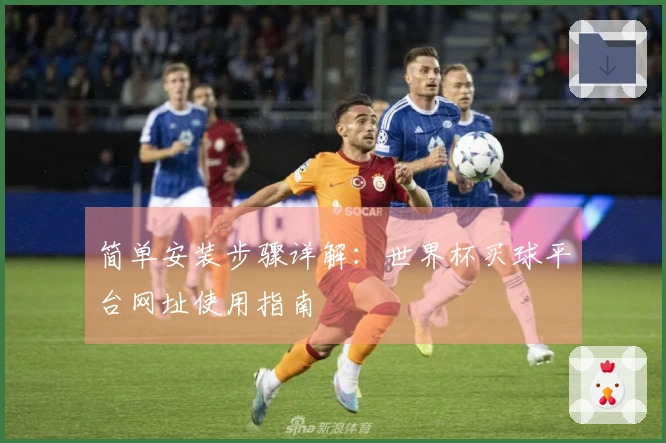 简单安装步骤详解：世界杯买球平台网址使用指南