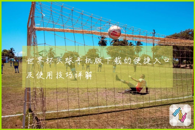 世界杯买球手机版下载的便捷入口及使用技巧详解
